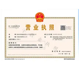 Dezhou Dingrui Air Conditioning Establishes Hainan Import & Export Subsidiary to Accelerate Global Market Expansion