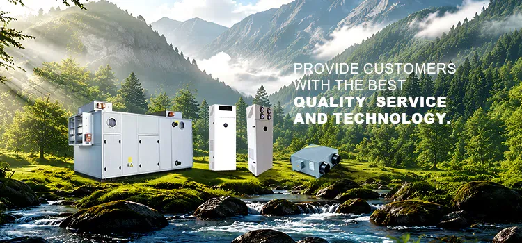 Dezhou Dingrui Air Conditioning Equipment Co., Ltd.